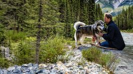 Sobreviviendo el camino a casa se ha ubicado entre lo más visto de Netflix Sobreviviendo el camino a casa se ha ubicado entre lo más visto de Netflix