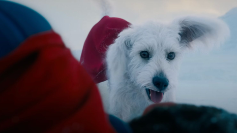 Krypto, el fiel can de Superman&nbsp;