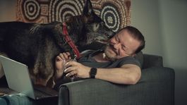 Una serie que podes ver en Netflix. Una serie que podes ver en Netflix.