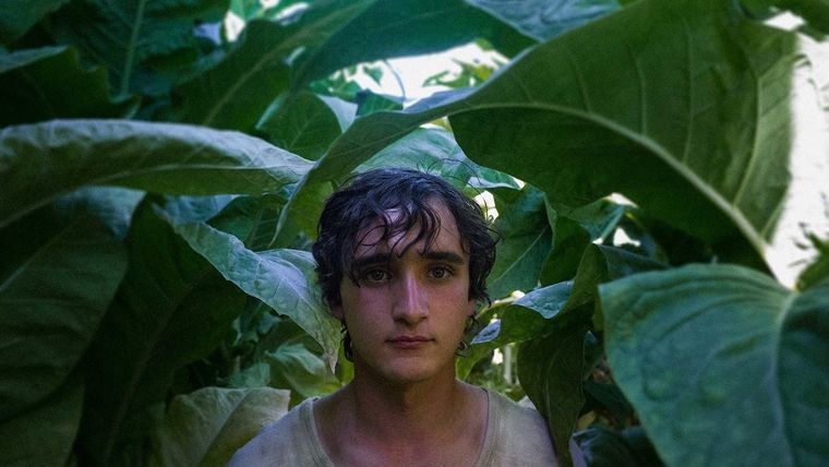 Lazzaro Felice, fantástica obra del cine italiano disponible en Netflix