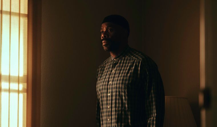 Colman Domingo interpreta a Ali en Euphoria Colman Domingo interpreta a Ali en Euphoria