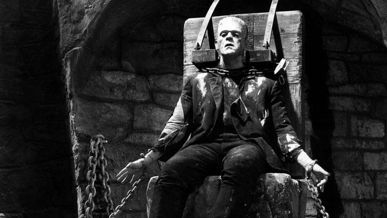 Frankenstein es uno de los personajes que más veces ha sido llevado a la pantalla Frankenstein es uno de los personajes que más veces ha sido llevado a la pantalla