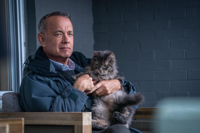 tom-hanks-a-man-called-otto.jpg