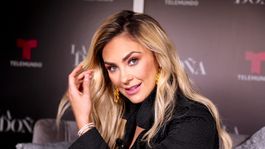 la verdadera razon por la que luis miguel se separo de aracely arambula la verdadera razon por la que luis miguel se separo de aracely arambula