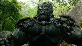 Optimus Primitivo sabe que vas a necesitar mucho dinero este mes