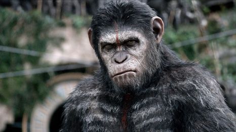 El planeta de los simios se ha convertido en una de las sagas más exitosas del cine