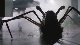 Una de las tantas transformaciones de la criatura en The Thing