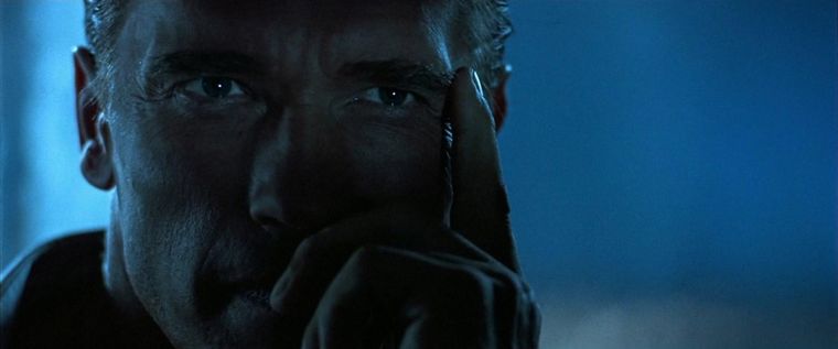 La filmografía de Arnold Schwarzenegger no está completa en el streaming