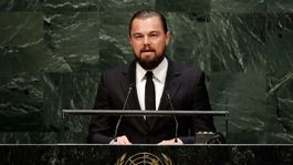 Leonardo DiCaprio fulminó al gobierno mexicano por desproteger a las vaquitas marinas.