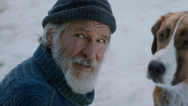 El llamado salvaje se ha ubicado entre lo más visto de Netflix El llamado salvaje se ha ubicado entre lo más visto de Netflix