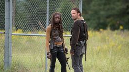 Rick y Michonne regresan para el 2024