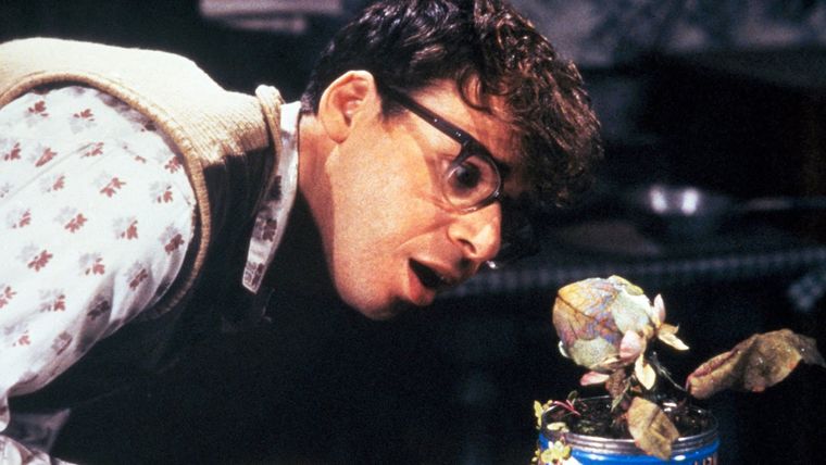 La tiendita del horror es una remake del musical de 1982 y la película de 1960 La tiendita del horror es una remake del musical de 1982 y la película de 1960