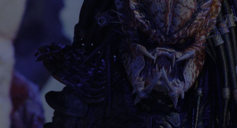 depredador-2-predator-2-city-hunter