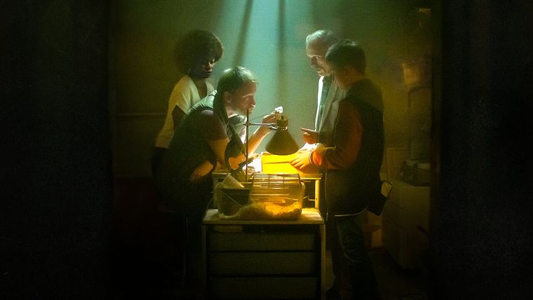 El camino de la noche tiene 12 episodios