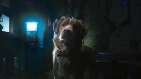 Una propuesta inquietante.&nbsp;