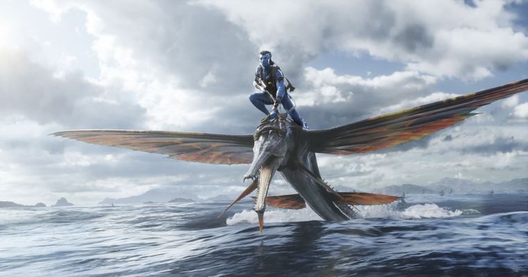 Los NaVi regresan en diciembre