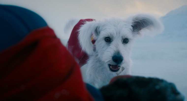 Krypto aparece en Superman de James Gunn. Krypto aparece en Superman de James Gunn.