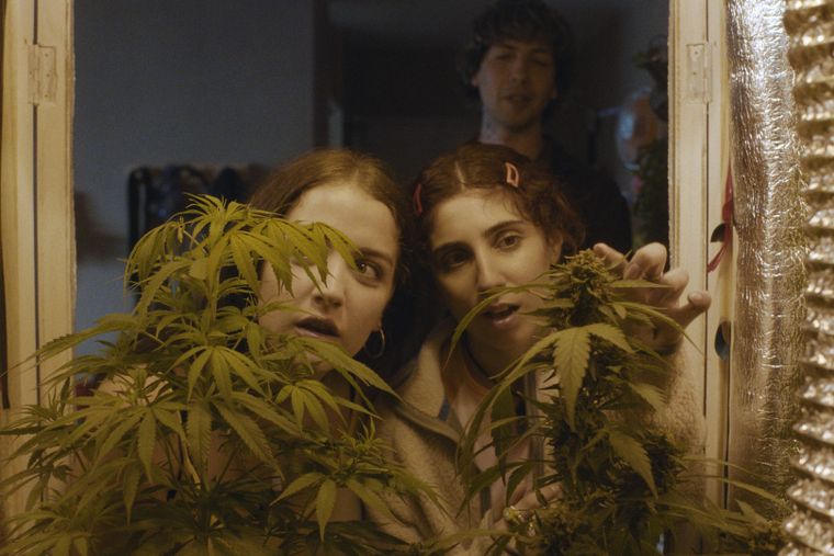 Verano Trippin, la película argentina que actualmente integra el Top 10 de Amazon Prime Video Verano Trippin, la película argentina que actualmente integra el Top 10 de Amazon Prime Video