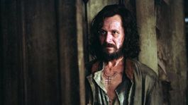 Oldman apareció en las películas 3,4 y 5 de Harry Potter con un cameo en la última cinta