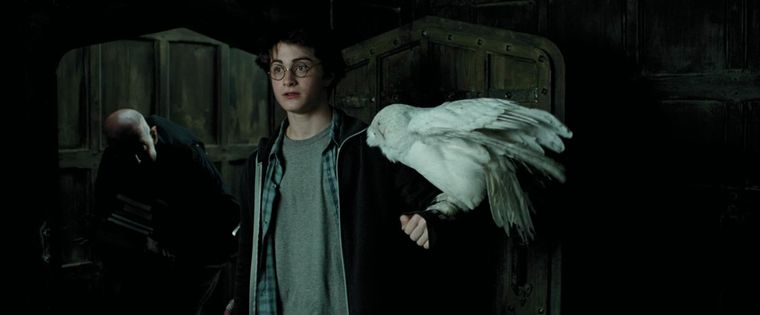 Una de las cintas de Harry Potter estuvo cerca de ser dirigida por un importante director