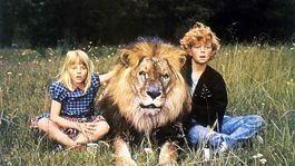 Jodie Foster recordó un traumático accidente en un set de filmación. Jodie Foster recordó un traumático accidente en un set de filmación.