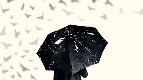 Viktor tiene nueva imagen oficial