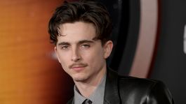 Timotheé Chalamet y otros artistas serán parte del Paseo de la Fama de Hollywood.