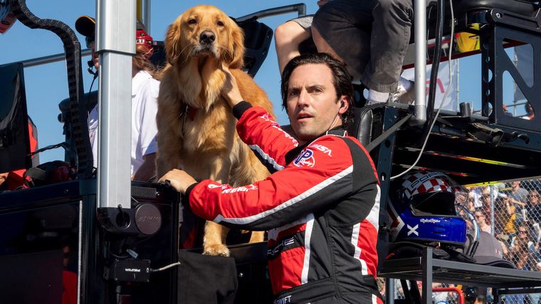 Mi amigo Enzo es un drama muy emotivo Mi amigo Enzo es un drama muy emotivo 