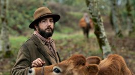 a tomar nota: estas son las mejores peliculas del 2020 para la revista time