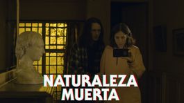 naturaleza muerta: la comedia negra argentina de space