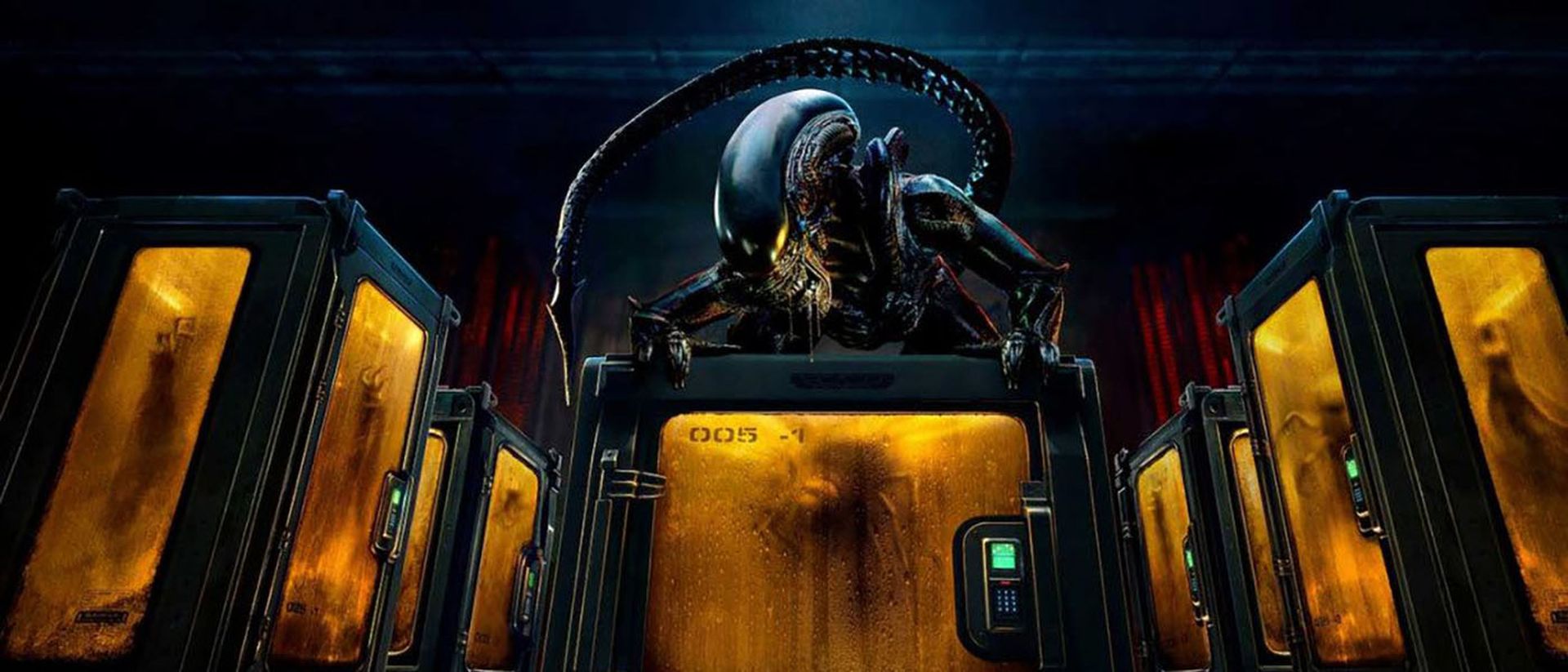 Alien: Earth plantea más de un problema para la humanidad. 