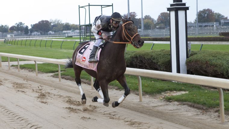 Basada en hechos reales, narra la impactante historia del caballo que venció todas las probabilidades Basada en hechos reales, narra la impactante historia del caballo que venció todas las probabilidades