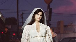 Desde el inicio de su carrera, Lana del Rey ha sido comparada y relacionada con Priscilla Presley.