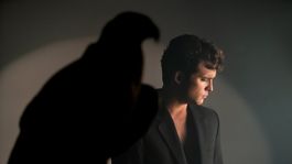 Al final Luismi compró el viñeado