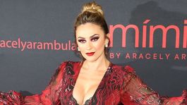 Aracely Arámbula