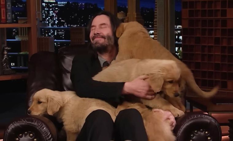 Keanu Reeves y los cachorros