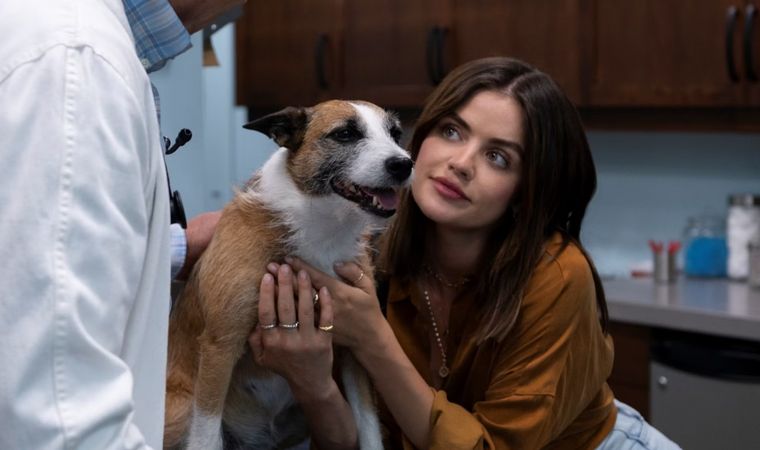 Lucy Hale protagoniza esta divertida comedia romántica con perros