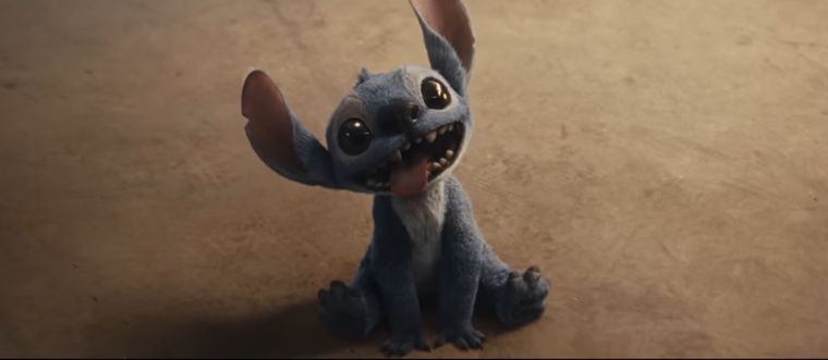 Eso no es un perro...