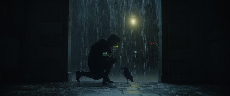 Morfeo tendrá formato Blu-ray y DVD