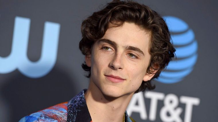 Timothée Chalamet nació en Nueva York en 1995