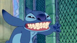 Todos los perros son adoptables...¡Excepto ese!