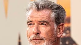 Pierce Brosnan vivió un muy mal momento en su casa de Malibu, Los Ángeles