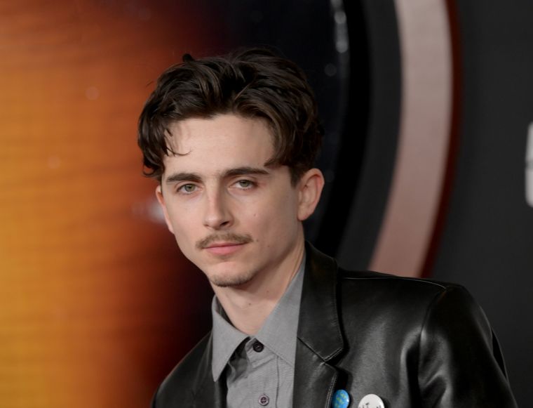 Timotheé Chalamet y otros artistas serán parte del Paseo de la Fama de Hollywood.