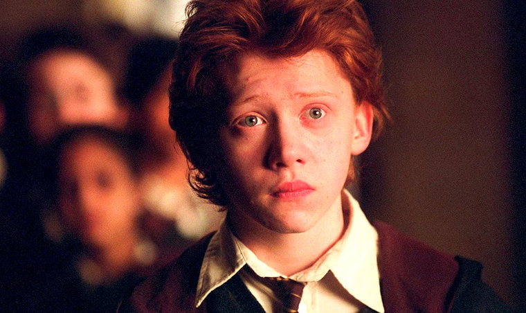 La curiosa teoría se volvió viral entre los fanáticos.