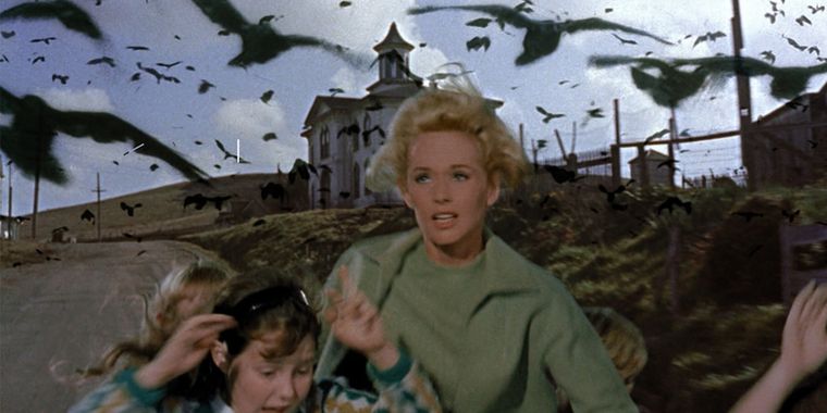 Tippi Hedren protagoniza Los Pájaros, de Alfred Hitchcock. Tippi Hedren protagoniza Los Pájaros, de Alfred Hitchcock.