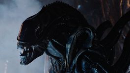 Alien