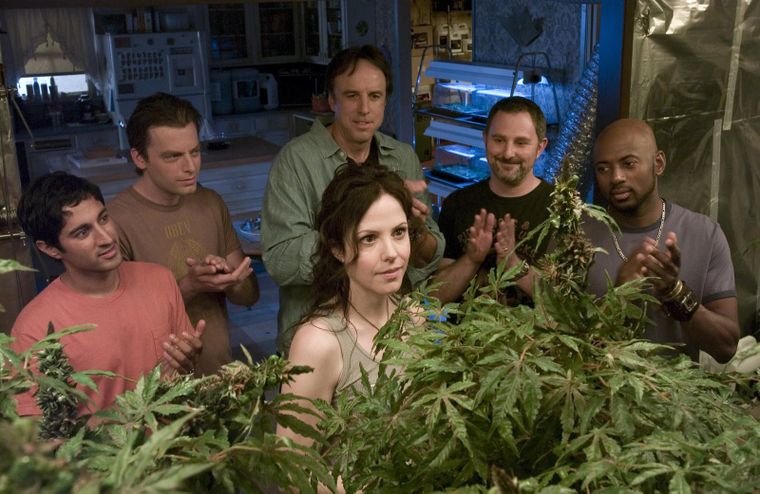 Para la mayoría de la señales, Breaking Bad era muy parecida a Weeds, serie centrada en una madre viuda que comienza a vender marihuana entre sus vecinos para mantener el nivel de vida de sus hijos. Para la mayoría de la señales, Breaking Bad era muy parecida a Weeds, serie centrada en una madre viuda que comienza a vender marihuana entre sus vecinos para mantener el nivel de vida de sus hijos.