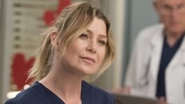 Greys Anatomy