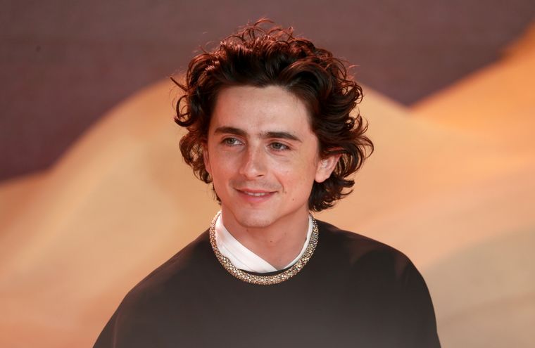 Timothée Chalamet es uno de los actores del momento