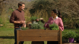 La dolce casa arrasa en Netflix